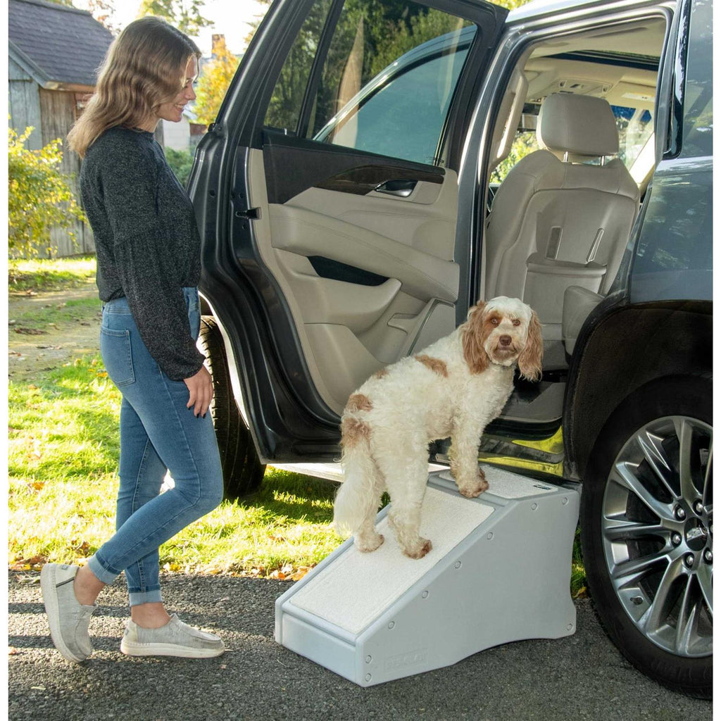 Pet Gear Step / Ramp Combination L250905