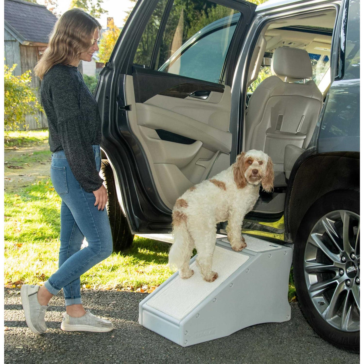 Pet Gear Step / Ramp Combination L250905