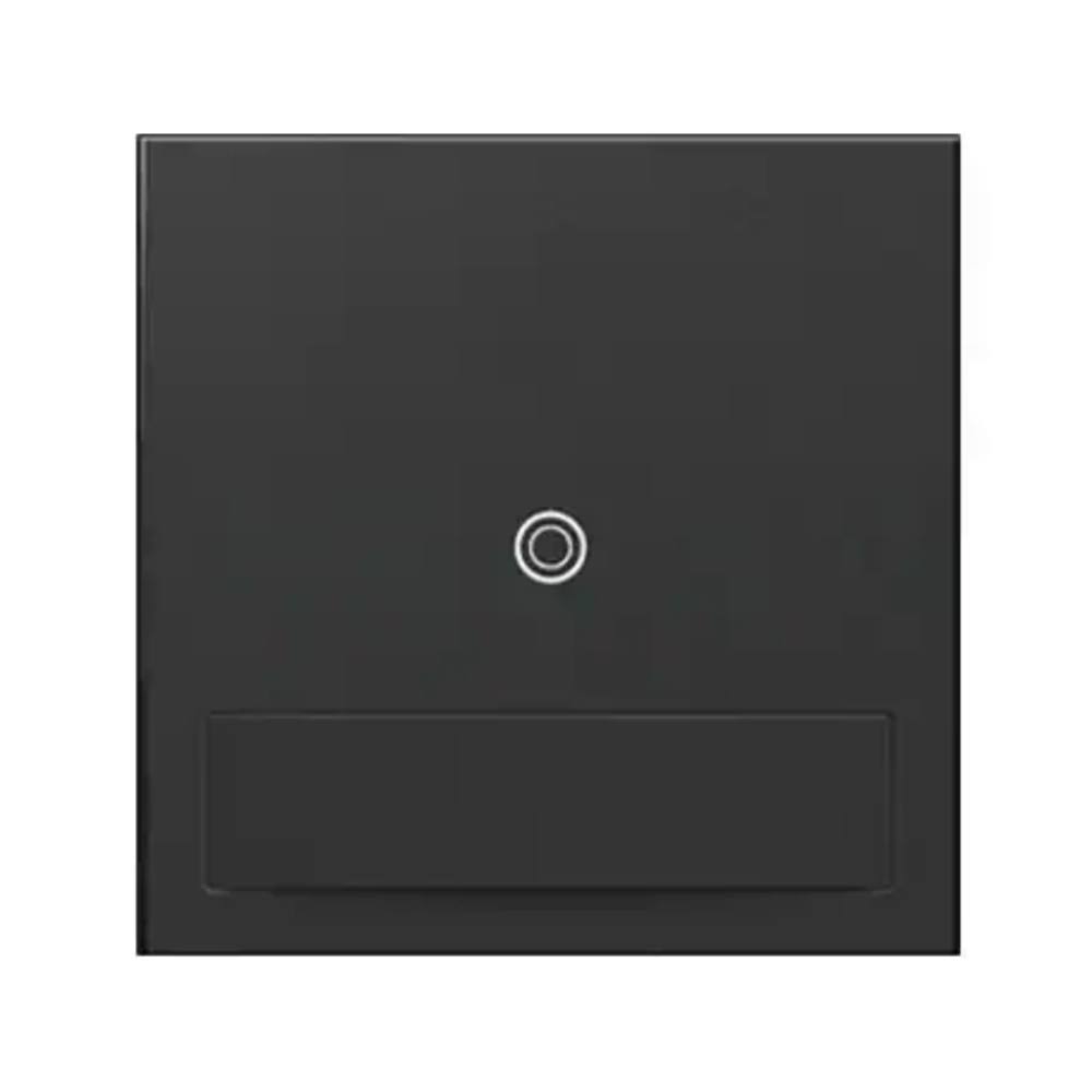 Graphite Auto-ON/Auto-OFF Switch W151048