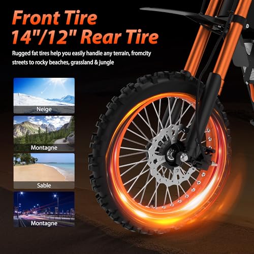 14"/12" Fat Tire 2000W Electric Dirt Bike with 48V 21AH Battery N39419
