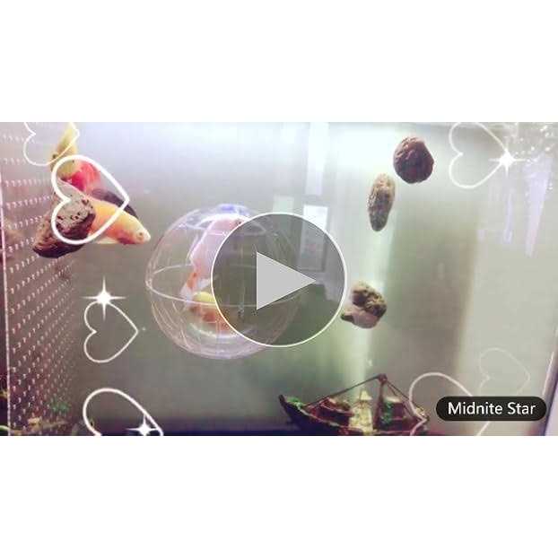 Transparent Hamster Exercise Ball T766