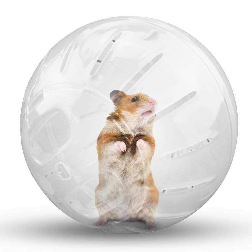 Transparent Hamster Exercise Ball T766