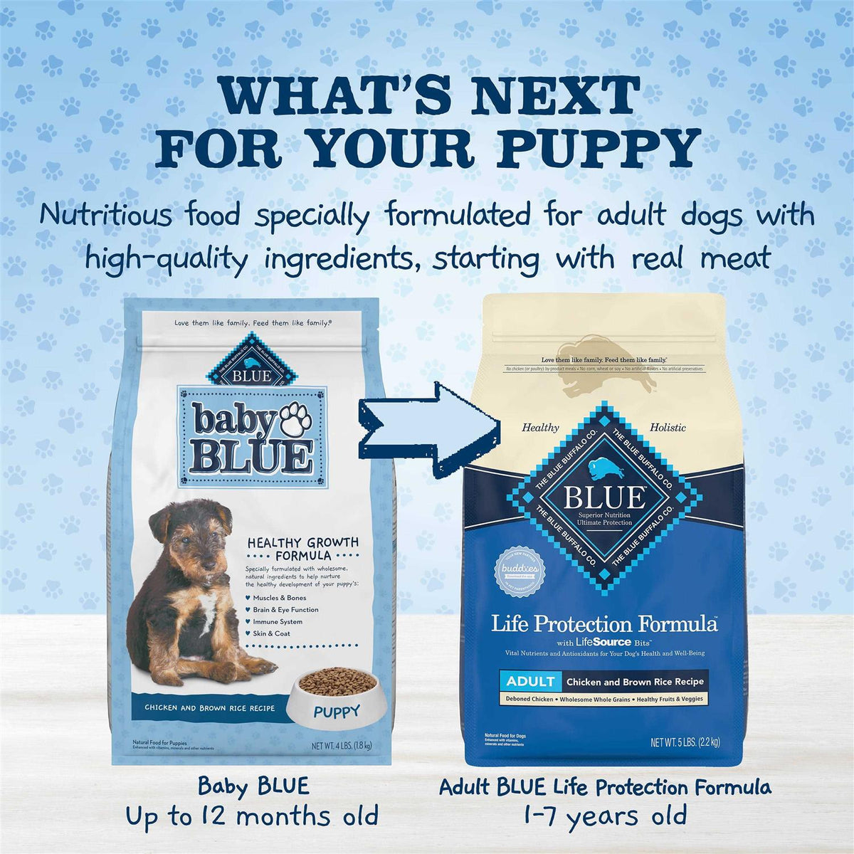 Chicken and Brown Rice Puppy Dry Dog Food X644569