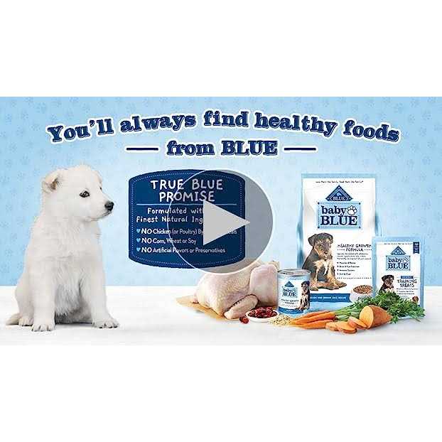 Chicken and Brown Rice Puppy Dry Dog Food X644569