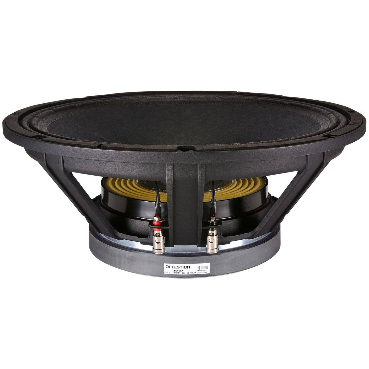 15x22 1000W Raw Frame Speaker B387834