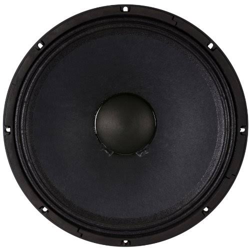 15x22 1000W Raw Frame Speaker B387834