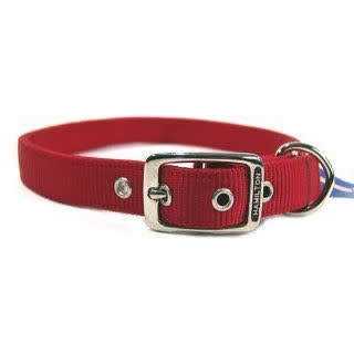 Thick Nylon Dog Collar W285989