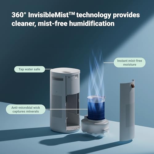 Air Purifier for Small Room, Bedroom, Home H6535