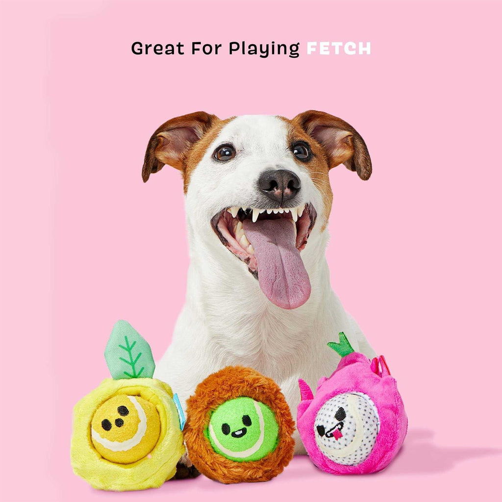 Dog Toys Squeaker Ball Toys Y9162