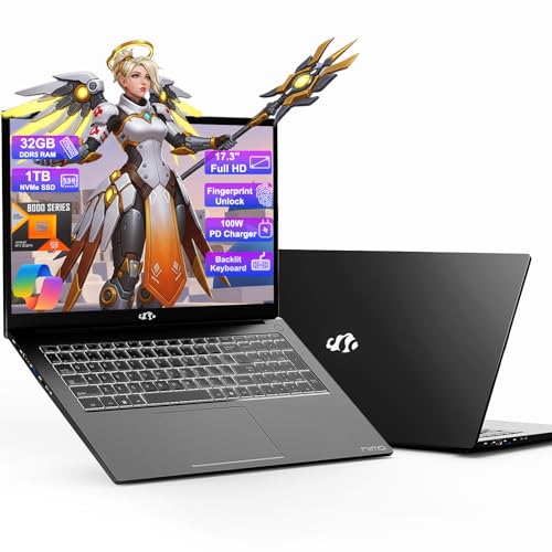 17.3 Gaming Laptop Ryzen 9 32GB RAM 1TB SSD F679