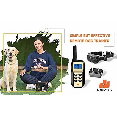 1100 Yard Auto Anti Bark Humane Beep V197
