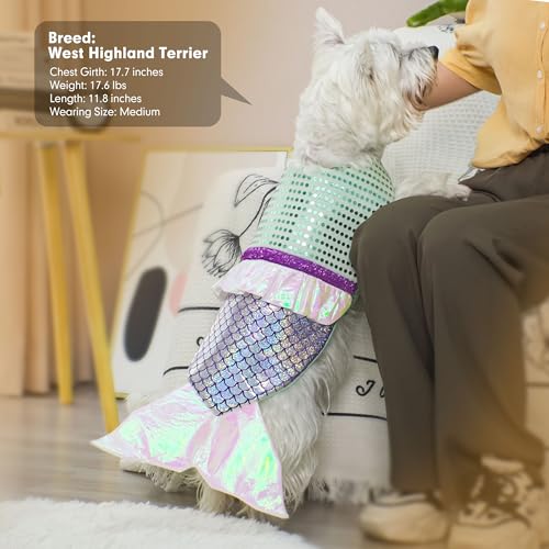 Dog Costumes Size XL W30316