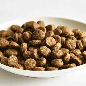 Salmon Recipe Dry Dog Food I4118