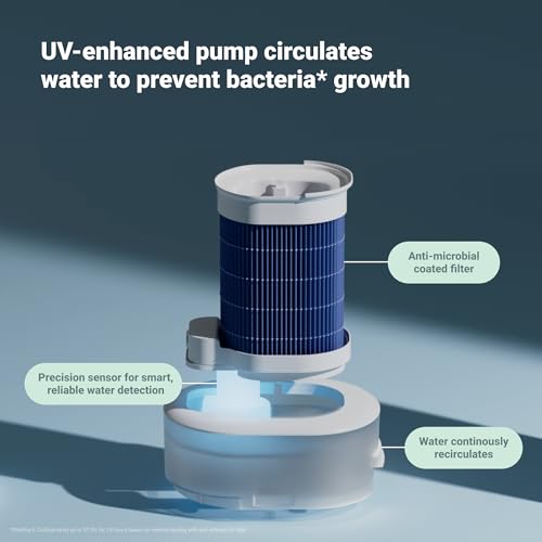 Air Purifier for Small Room, Bedroom, Home H6535
