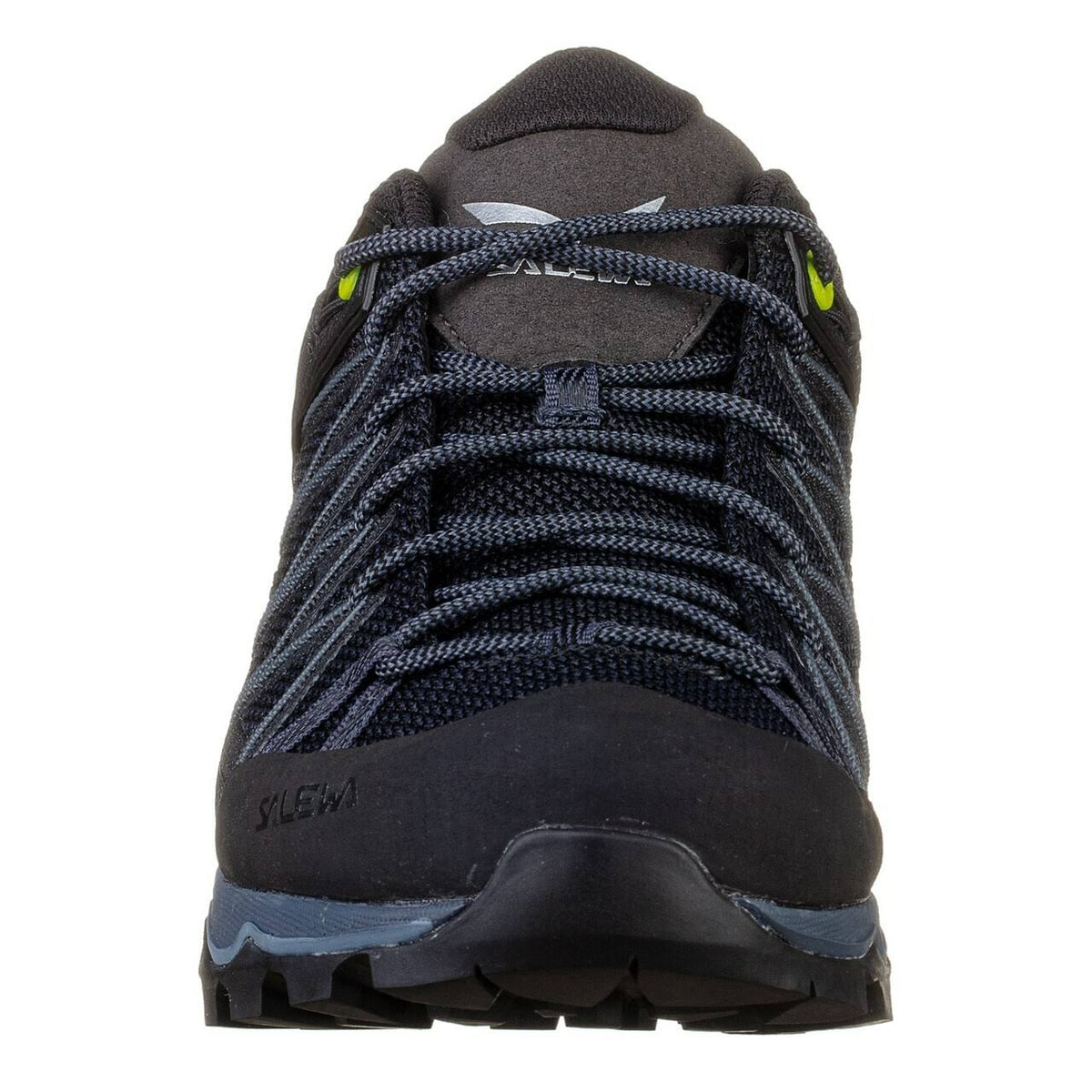 Mountain Trainer Lite GTX 11 S34221