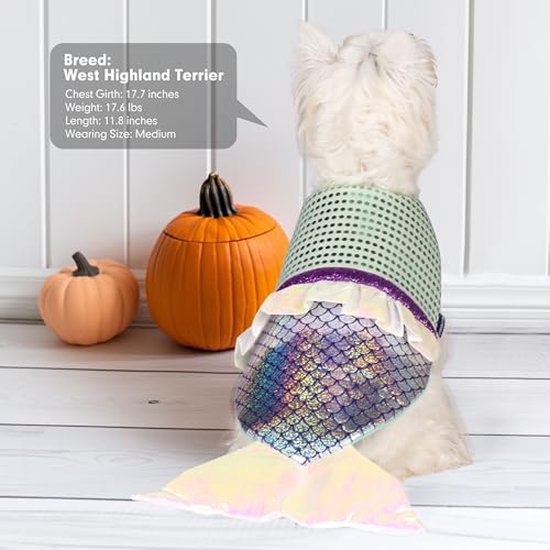Dog Costumes Size XL W30316