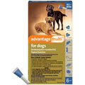 Advantage Multi for Dogs W6309