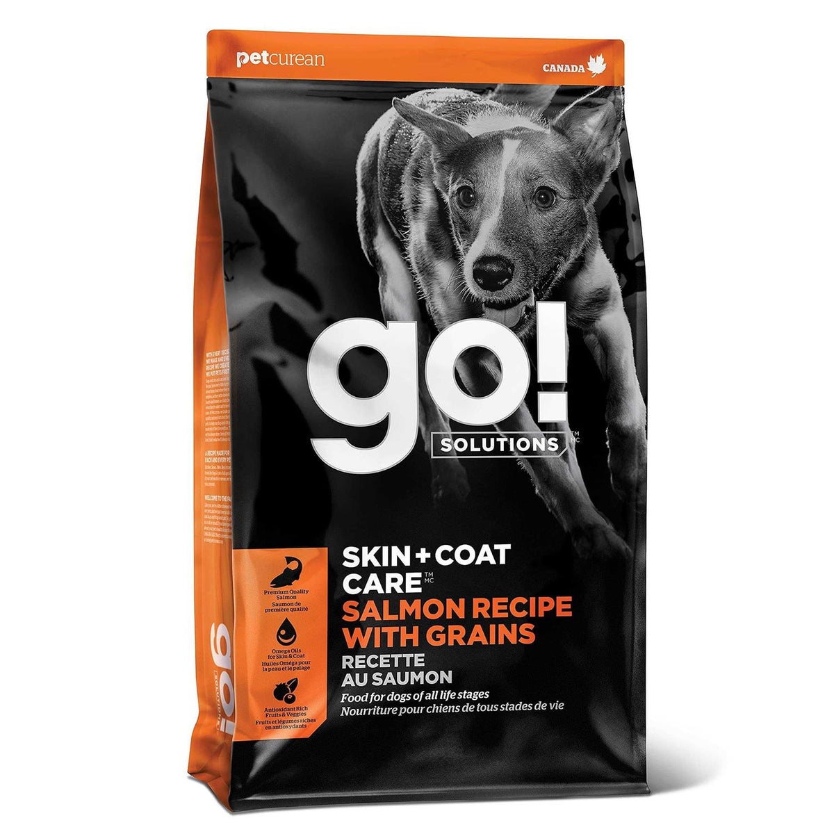 Salmon Recipe Dry Dog Food I4118