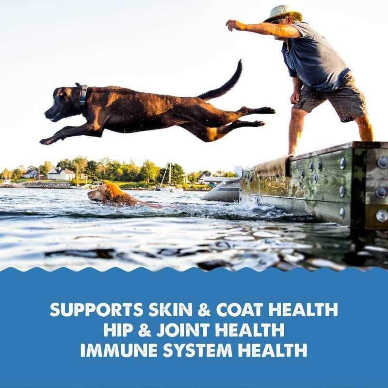 Liquid Omega-3 Supplement for Dogs D2969