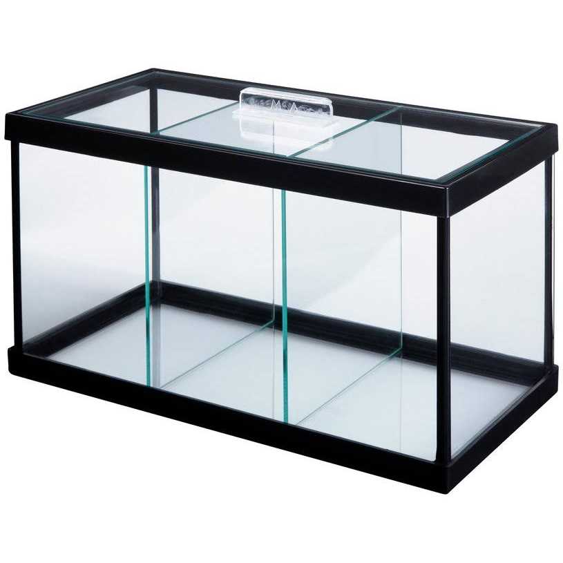 Betta Aquarium with Divider G4375