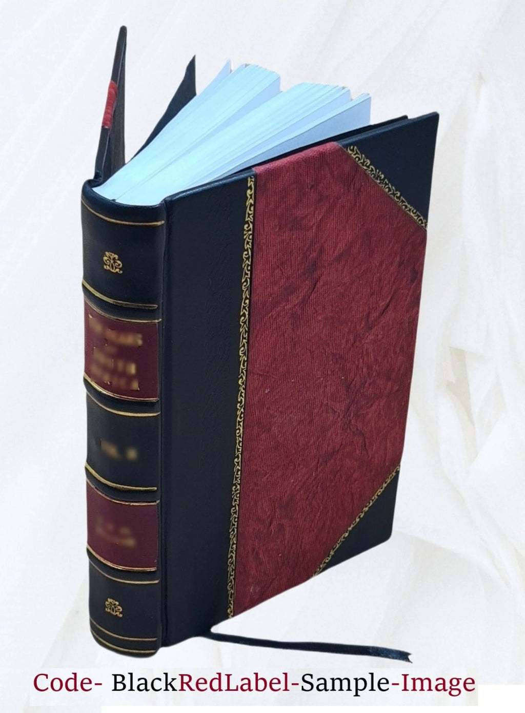 Leather Bound Book I975643