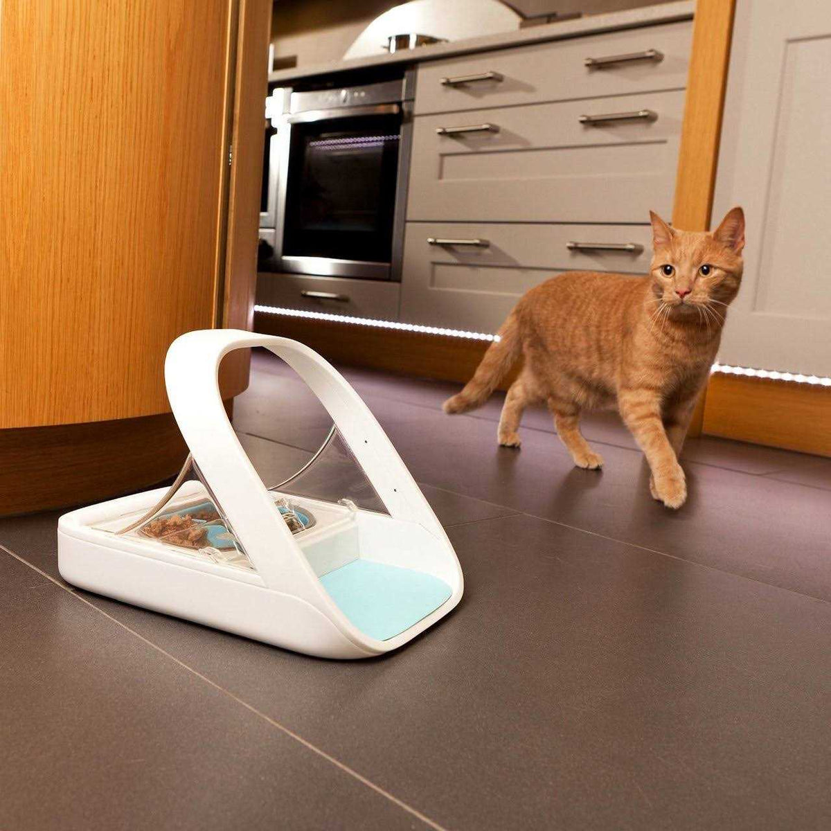 Microchip Pet Feeder N404