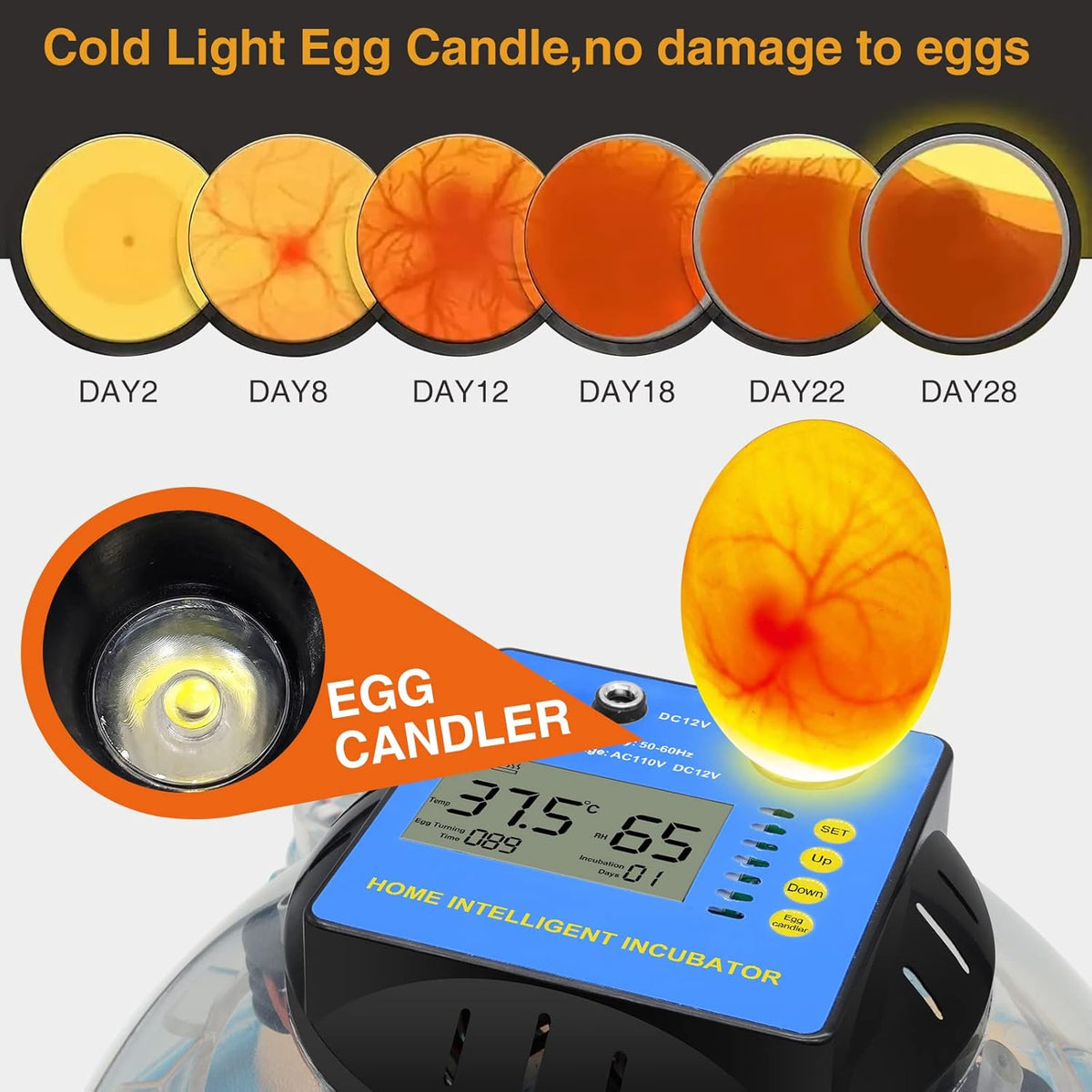 2 Pc Automatic Egg Incubator with Humidity Display R5983