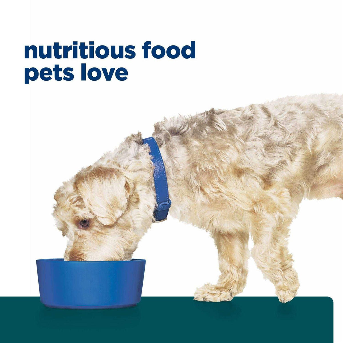 Chicken Flavor Dry Dog Food V114