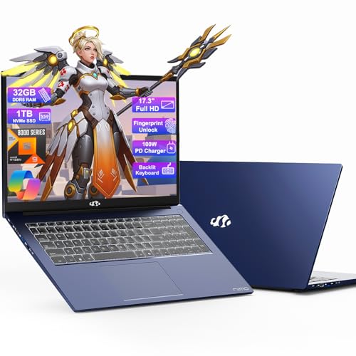 17.3 Gaming Laptop Ryzen 9 32GB RAM 1TB SSD F679