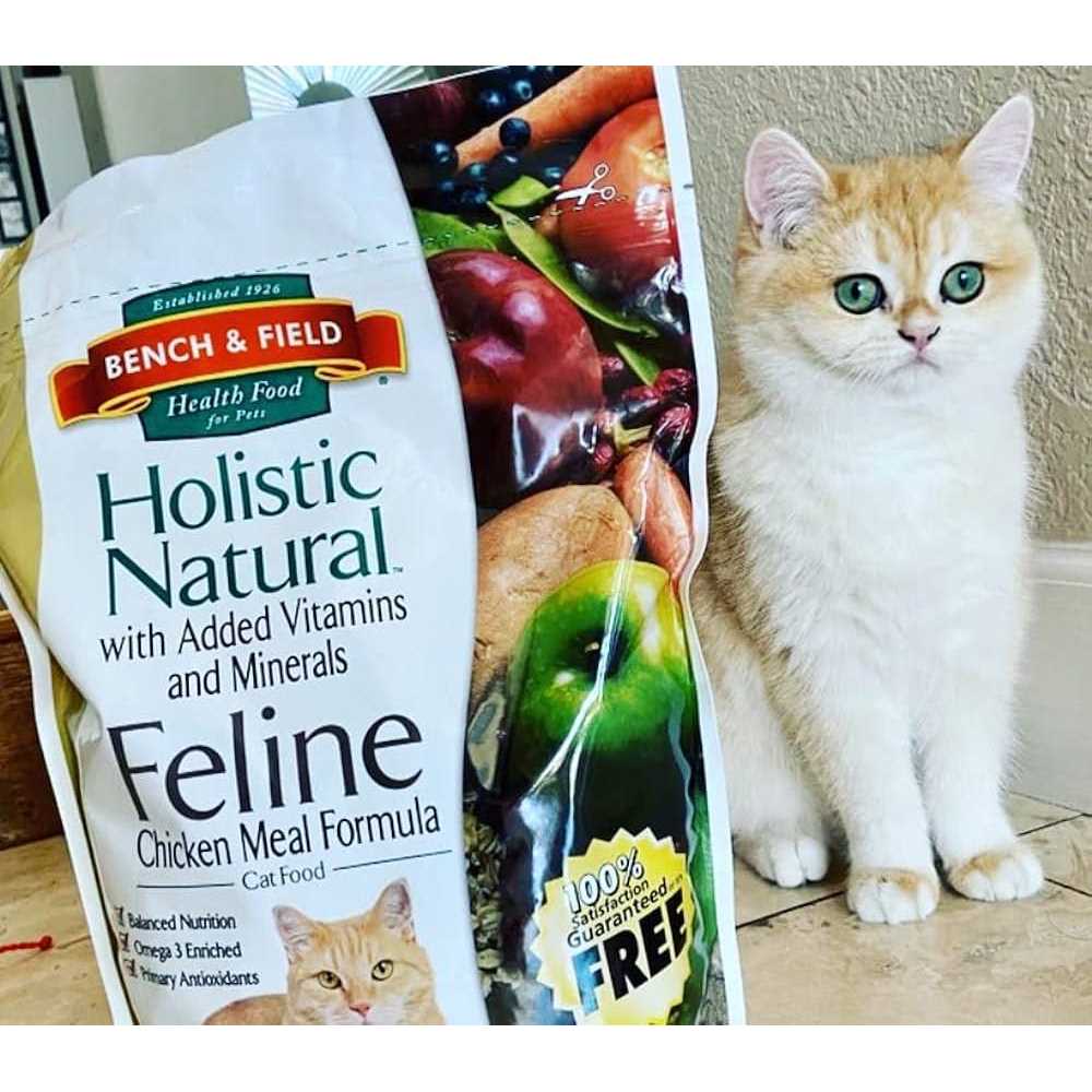 Natural Cat Food S7491